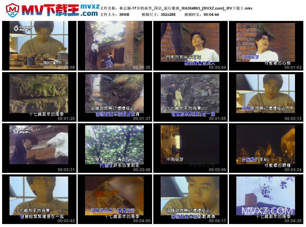 林志颖-17岁的雨季_国语_流行歌曲_MA304863
